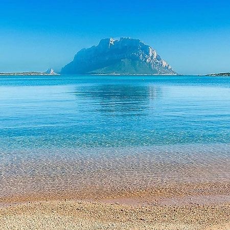 Stella Marys Nord Διαμέρισμα Όλμπια Εξωτερικό φωτογραφία